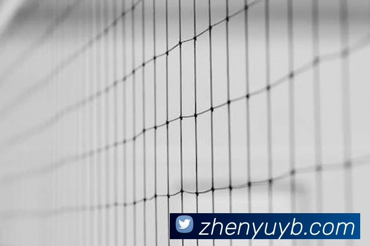 赛事专题整合